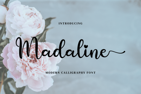 Madaline Typeface: A Refined Script for Stronger Campaign Design