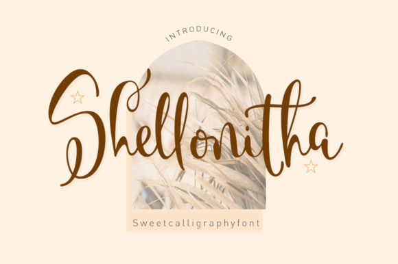 Shellonitha Font Review: A Sweet Script for Creative Branding